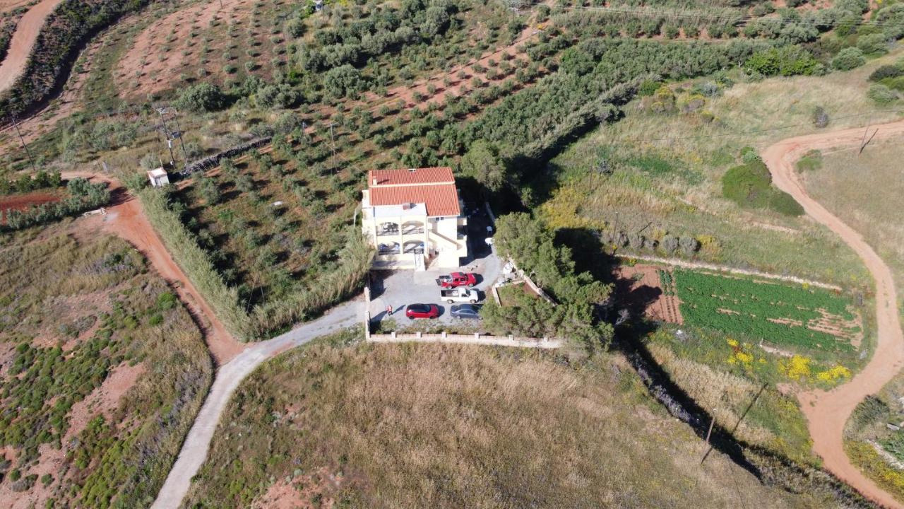 Studio Margarita Villa Marifay Psifia Buitenkant foto